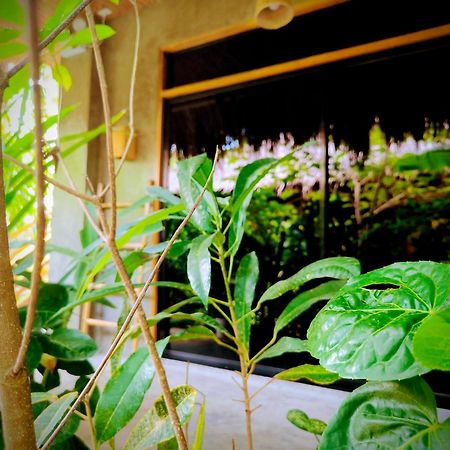 The Ohm Siargao Resort General Luna  Exterior foto