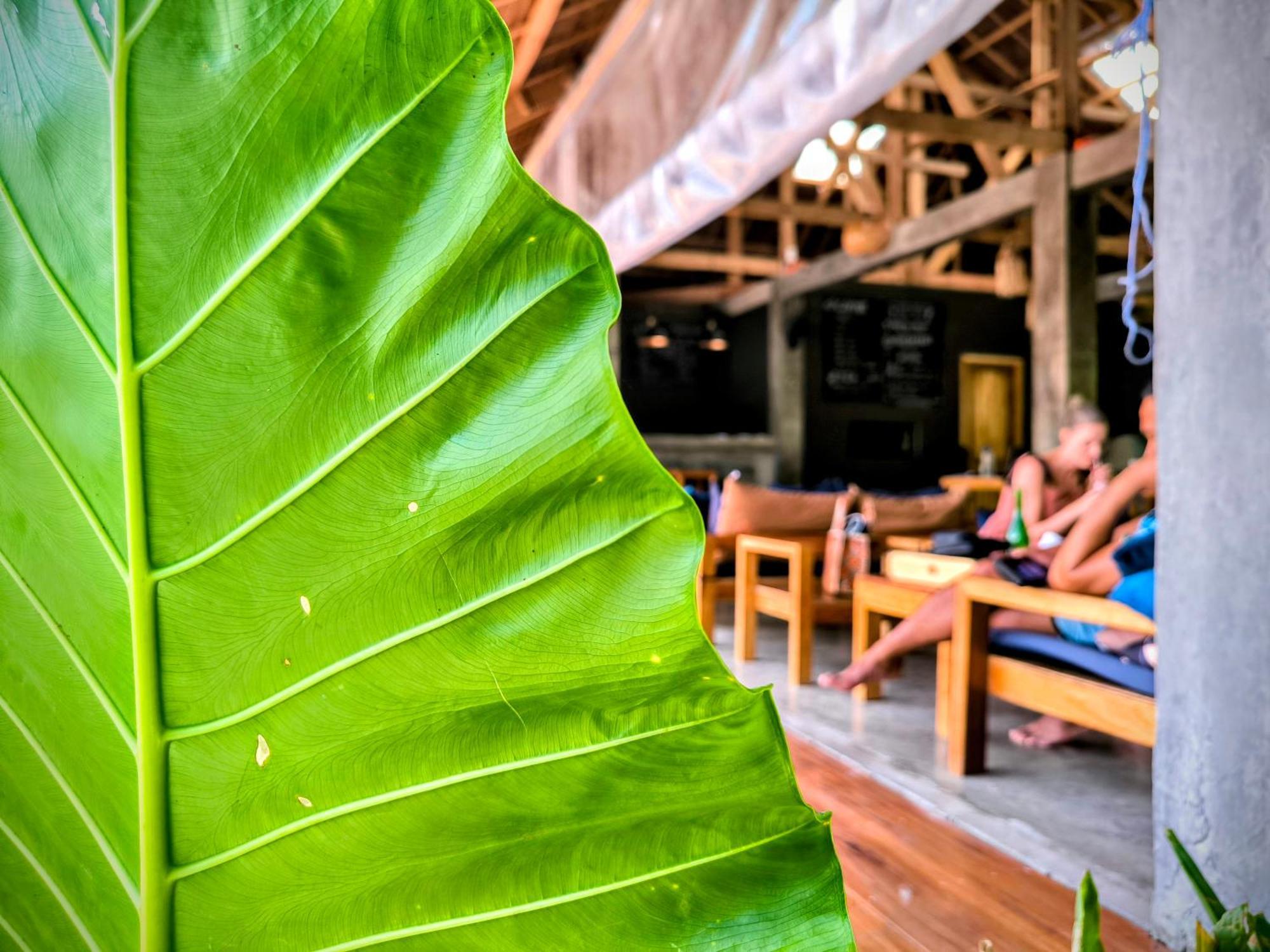 The Ohm Siargao Resort General Luna  Exterior foto